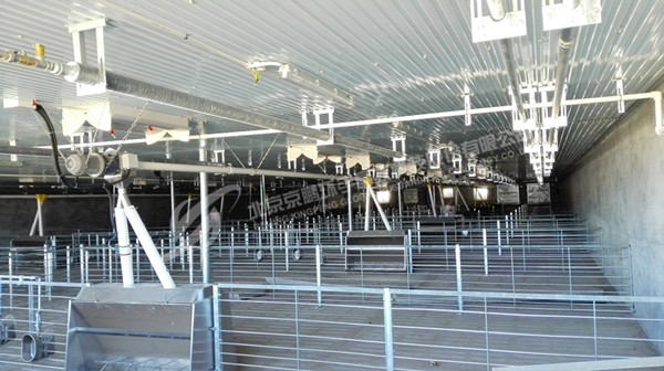 猪舍保暖设计先行